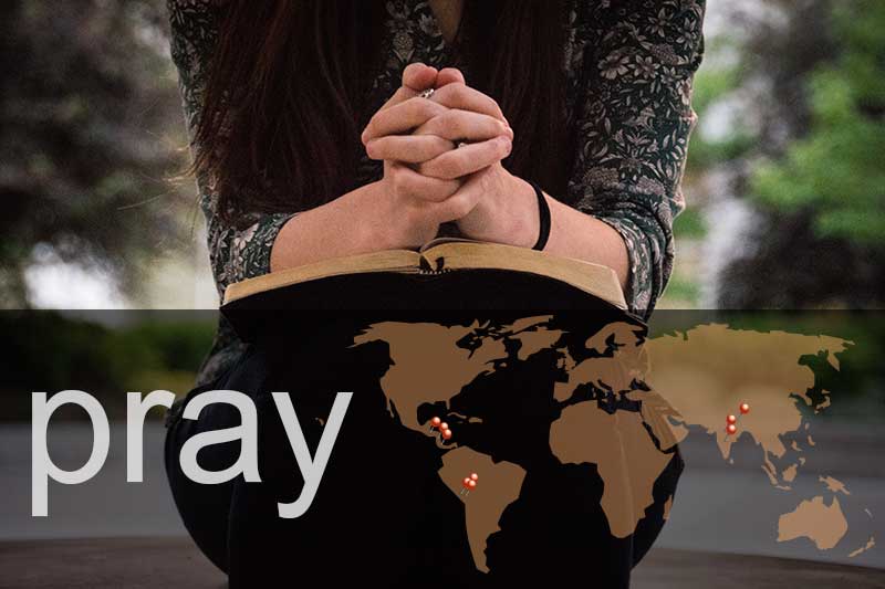 STN Prayer Partners Needed – Shepherding the Nations